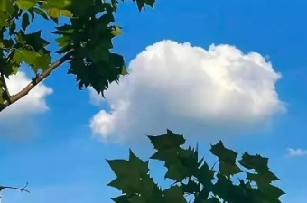 探索多彩生活的奥秘——天津西青为明学校高二3班8月充实生活